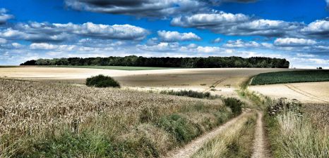Vue sur les champs Amiens